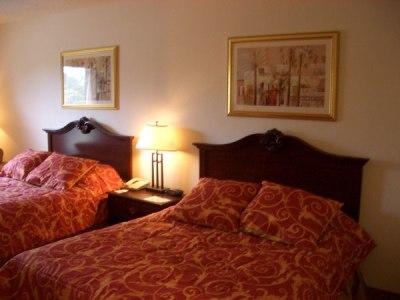 Country & By Radisson, Rj Stadium - Airport East Hotel Tampa